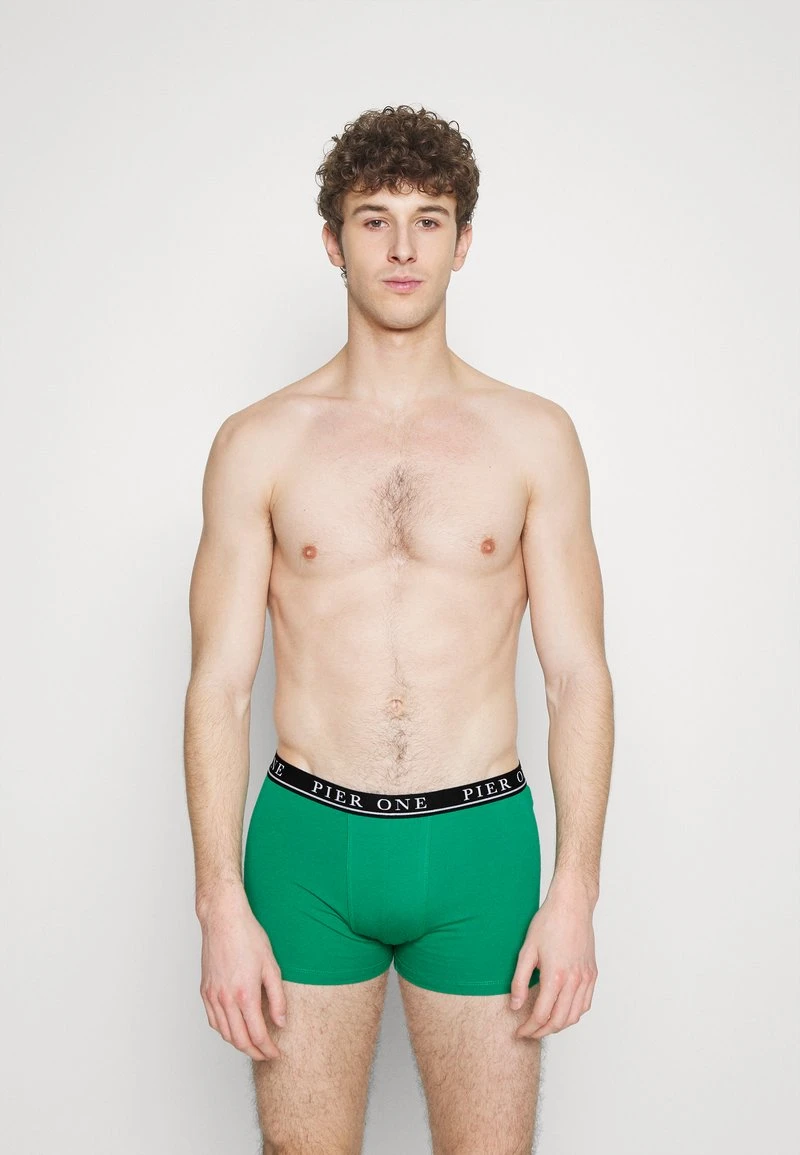 Pier One 5 PACK - Panties - Beige/green/bordeaux 3 Pier One 5 PACK - Panties - Beige/green/bordeaux