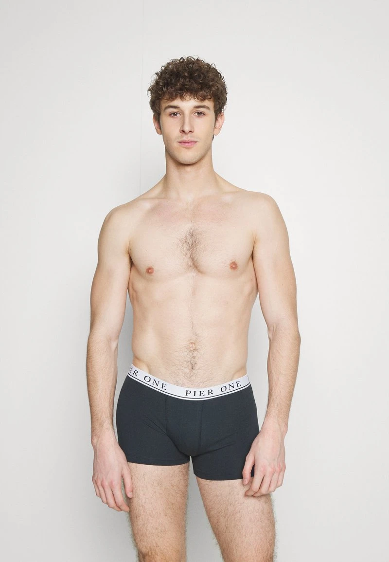 Pier One 5 PACK - Panties - Beige/green/bordeaux 6 Pier One 5 PACK - Panties - Beige/green/bordeaux - Image 4