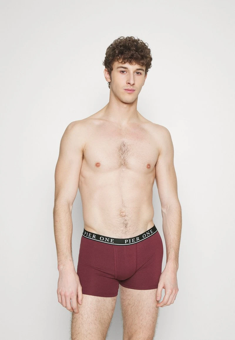 Pier One 5 PACK - Panties - Beige/green/bordeaux 5 Pier One 5 PACK - Panties - Beige/green/bordeaux - Image 3